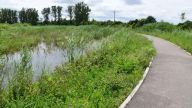 (RO) Pista de biciclete din jurul Lacului cu stuf<br> (HU) Kerékpárut a Nádas-tó körül<br> (ENG) Bikeway around the Reed Pond<br>