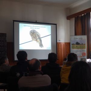Salonta, the Great Bustard sanctuary in Romania, hosted an ornithology conference on the conservation of endangered species