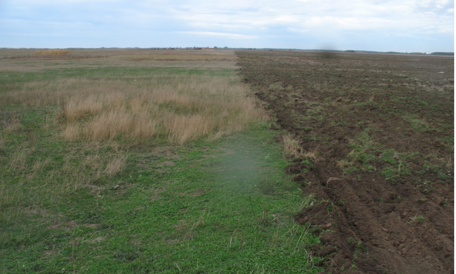 Pajiște transformată în teren agricol,  exemplu de degradare a habitatului. Grupul Milvus